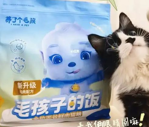 粮！三只松鼠靠什么重返宠物食品赛道不朽情缘网站零食巨头盯上毛孩子口(图4)