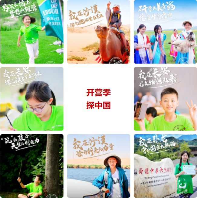 信”风波看新东方转型之痛mg不朽情缘从“南极贺(图4)