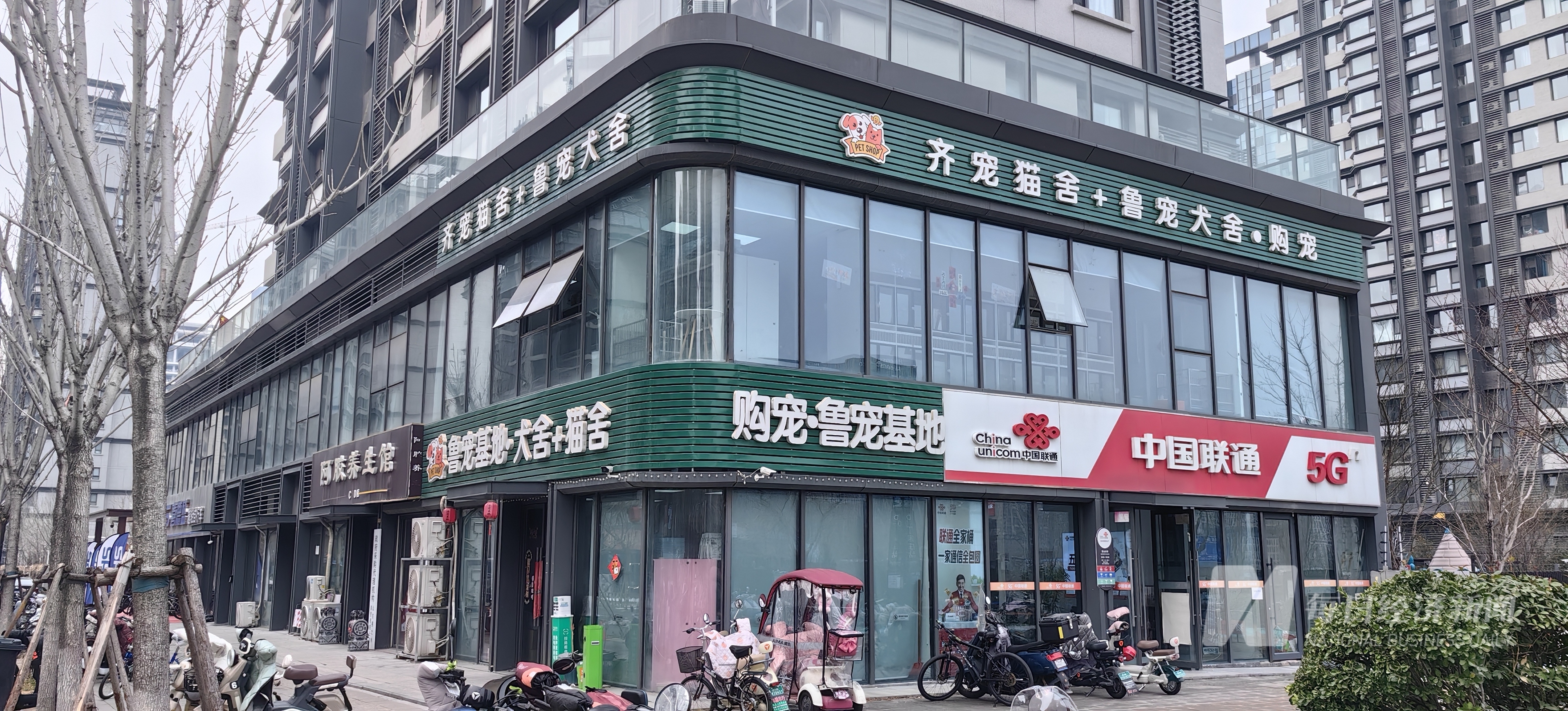 加中药宠物从“吃饱”转型“吃好” 国产品牌崛起驱动万亿元市场